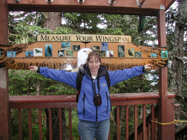 measure your wingspan