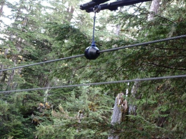 zipline braking system