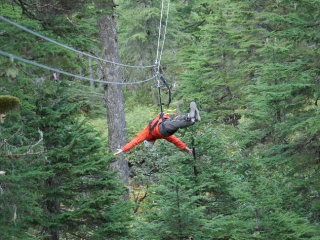 hands free ziplining