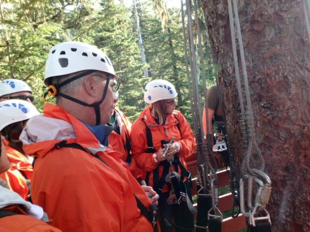 ziplining in Juneau