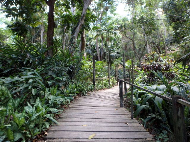 garden walkway