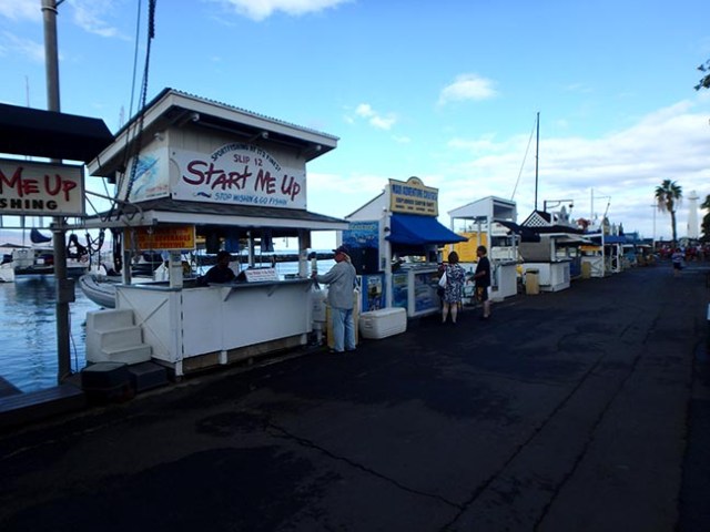 choose your excursion here