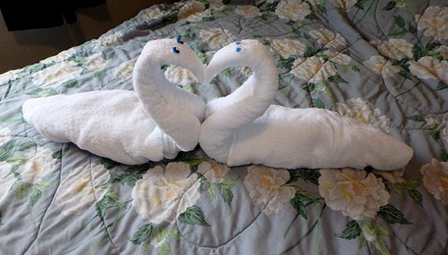 kissing towel swans