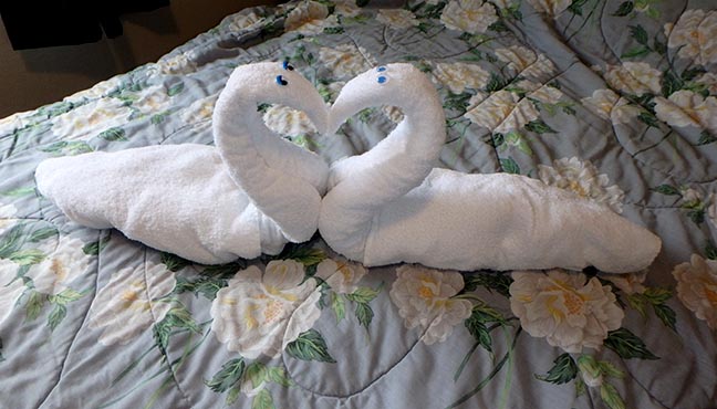 kissing towel swans