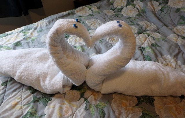 towel swan heart