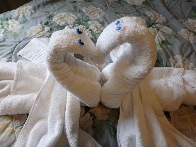 towel swan heart with wings spread