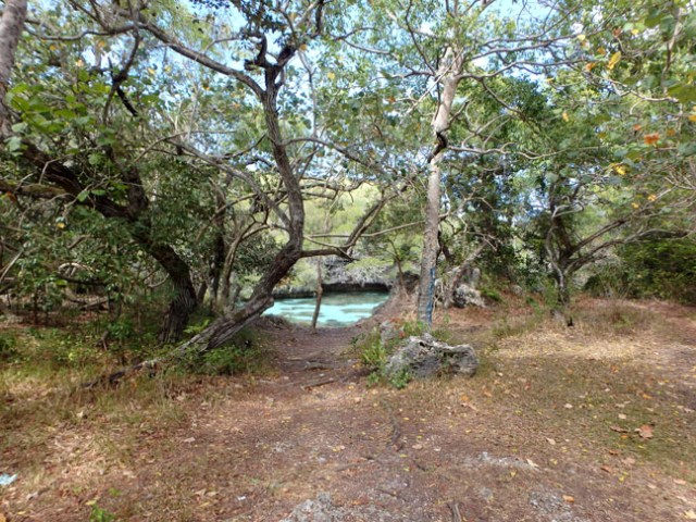 natural aquarium entrance