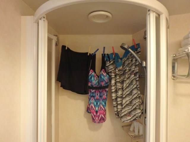 cruise ship shower