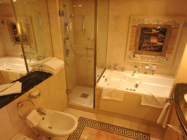 cruise ship suite bathroom