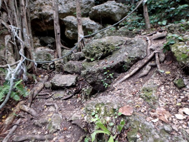 trail to the cave on Lifou