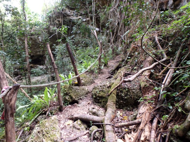 trail to cave on Lifou