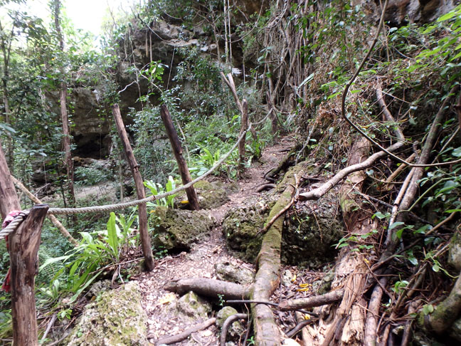 trail to cave on Lifou