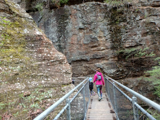 bridge on trail