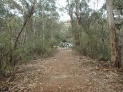 trail to Glow Worm Tunnel