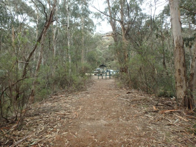 trail to Glow Worm Tunnel
