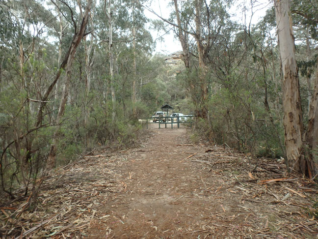 trail to Glow Worm Tunnel