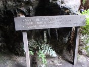 don't disturb the glow worms