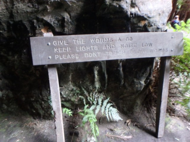 don't disturb the glow worms