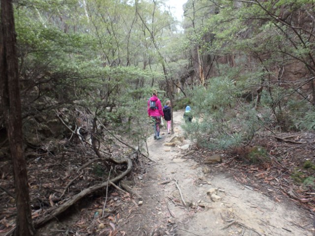 trail to glow worm tunnel