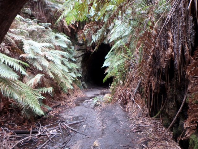 tunnel entrance