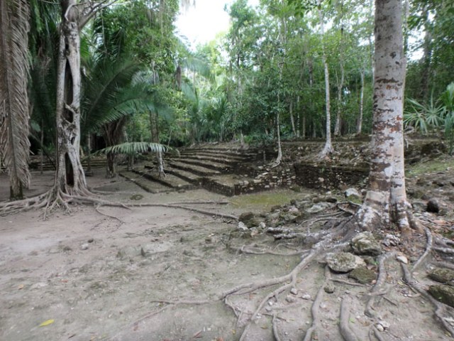 ruins in the jungle