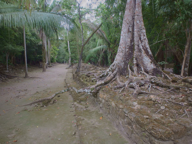 jungle trail to Mayan ruins