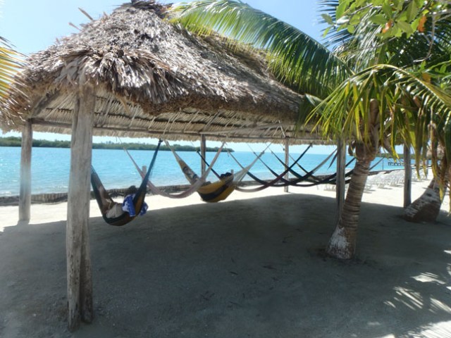 Starfish Island hammocks