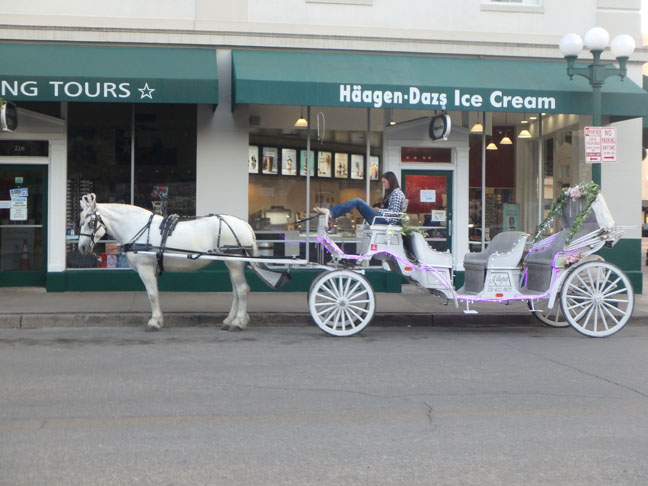 horse carriage