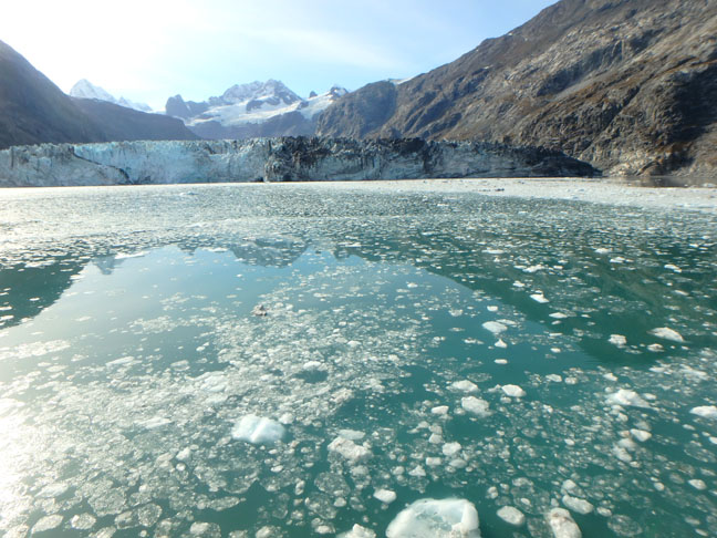 Johns Hopkins Glacier
