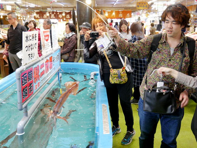 squid tank at Hakodate morning market