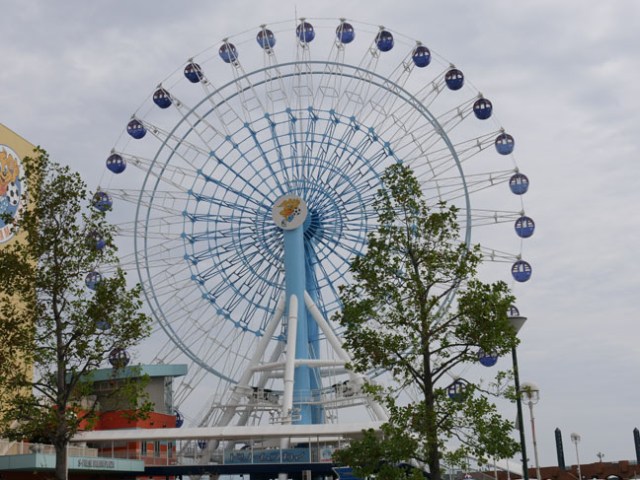 Shimizu wheel
