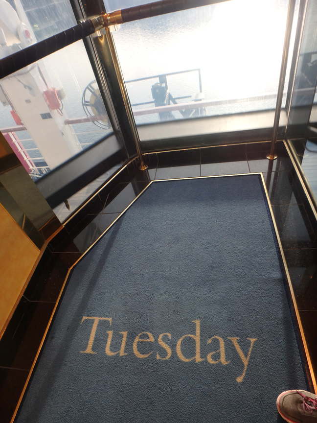 glass elevator on the Westerdam