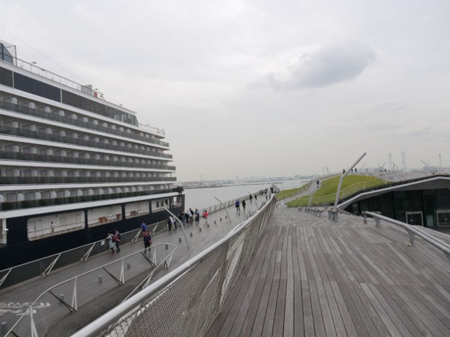 cruise terminal and park all in one