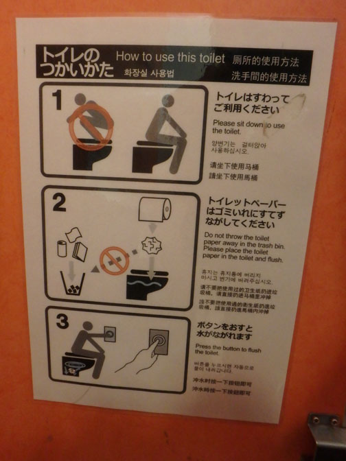 how to use a sit toilet