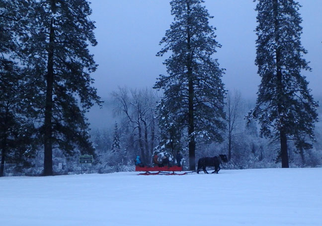Leavenworth sleigh ride