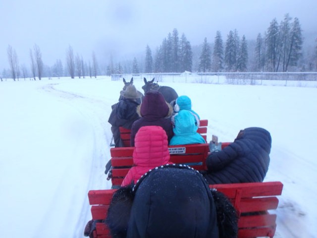 sleigh ride in Leavenworth