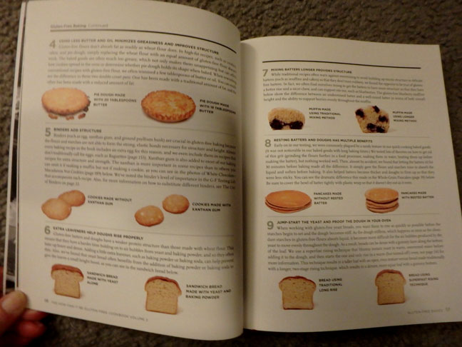 flour comparison by America's Test Kitchen