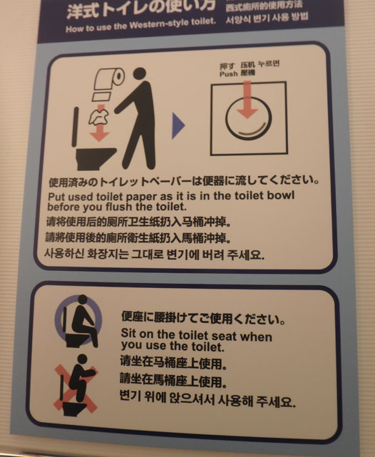 toilet instructions