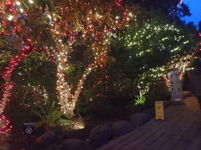 Capilano Bridge Park