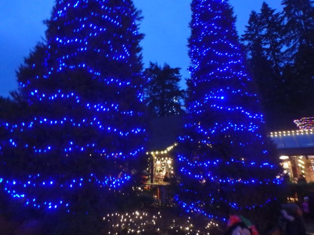 Capilano Bridge Park