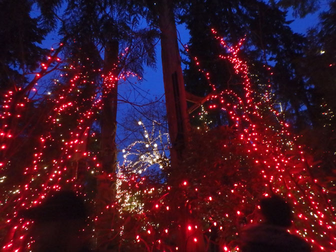 Capilano Bridge Park