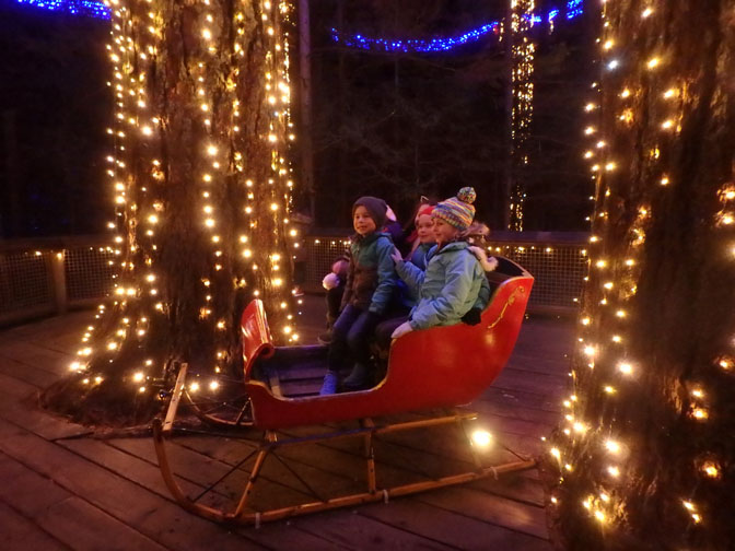 sleigh at Capilano Bridge Park