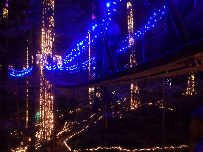 Capilano Bridge Park