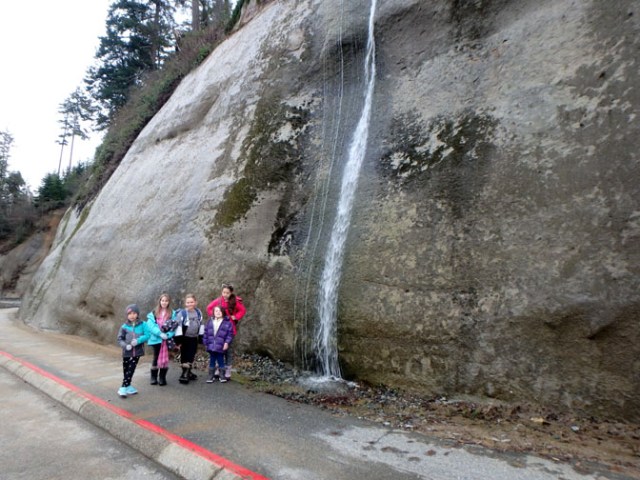 Stanley Park in Vancouver BC