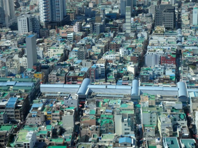 Busan tower view