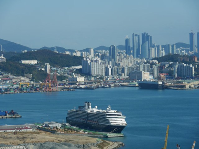 Westerdam in Busan