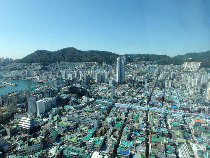 Busan tower view