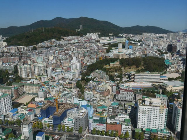 Busan tower view
